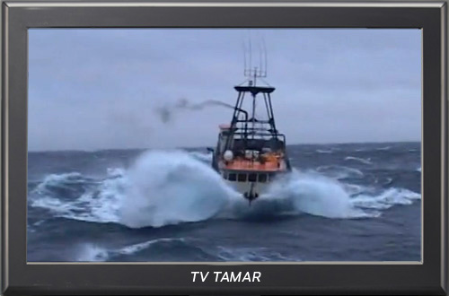 TV TAMAR: As tartarugas marinhas e a pescaria de espinhel de superfície